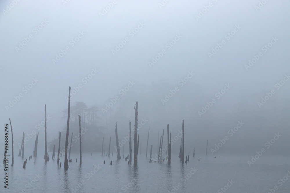 Cloudy landscape view and dead tree stumps standing on frozen madhuri lake or sangetsar lake sangestar tso lake.located near bum la pass in tawang, arunachal pradesh, india