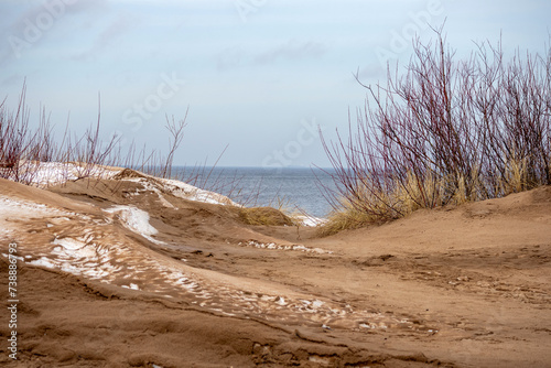 Fototapeta Naklejka Na Ścianę i Meble -  Baltic sea dunes with sea urchins on the sea background
