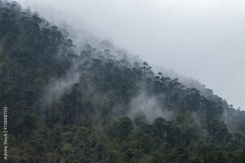 Cloudy landscape view and dead tree stumps standing on frozen madhuri lake or sangetsar lake sangestar tso lake.located near bum la pass in tawang, arunachal pradesh, india