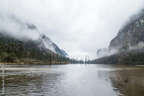 Fotografija Cloudy landscape view and dead tree stumps standing on frozen madhuri lake or sangetsar lake sangestar tso lake