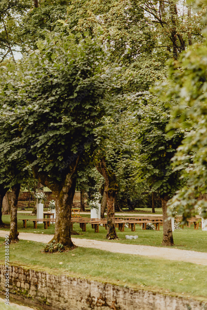Décor de cérémonie laïque dans la forêt verdoyante Décor de cérémonie laïque dans la forêt verdoyante