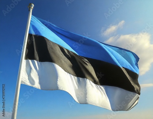 Estonian flag