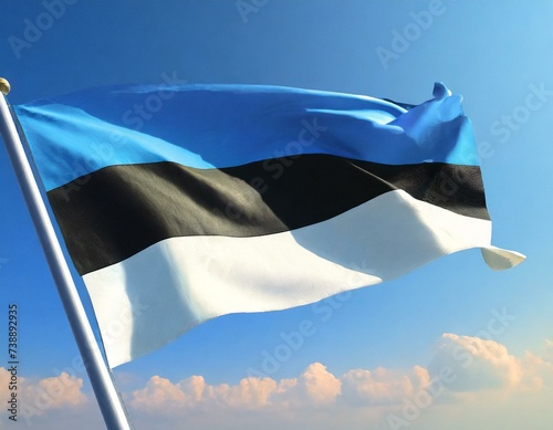 Estonian flag