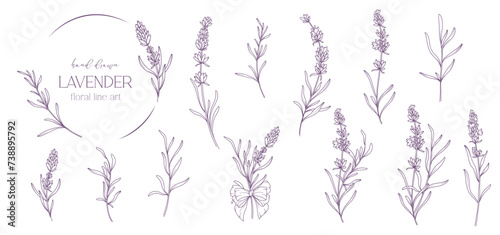 Lavender Line Drawing. Black and white Floral Bouquets. Flower Coloring Page. Floral Line Art. Fine Line Lavender illustration. Hand Drawn flowers. Botanical Coloring. Wedding invitation flowers.