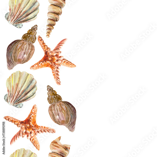 Seashells, starfish, seamless border, vertical, watercolor. Sea life vector illustration. Postcards, travel banners, labels, invitations, covers.