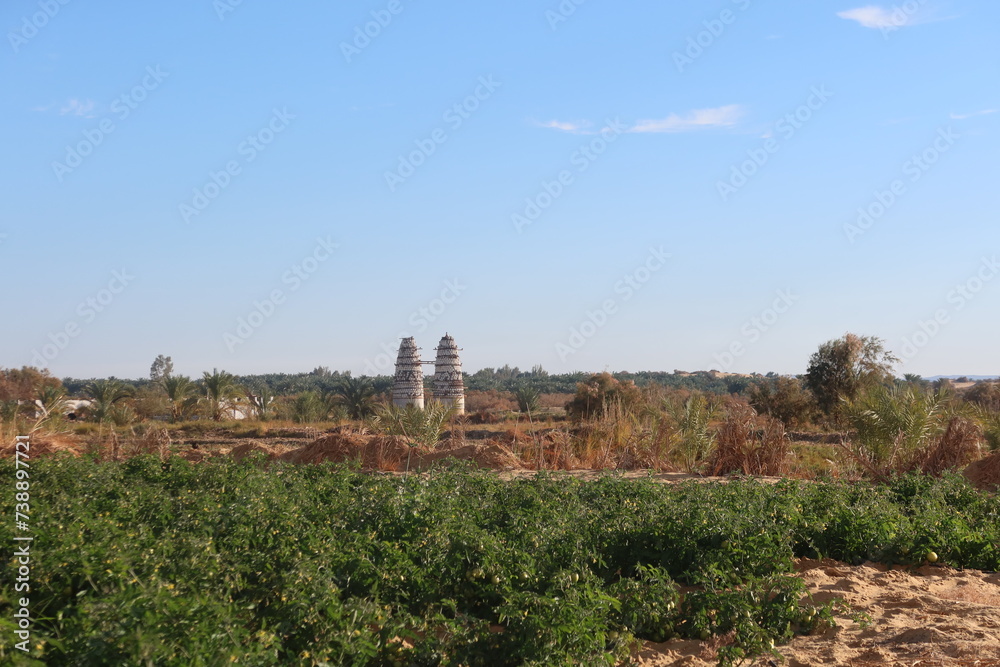 Pigeon towers in the middle of agricultural land in Baharyia oasis in Egypt