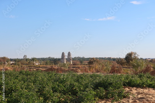 Pigeon towers in the middle of agricultural land in Baharyia oasis in Egypt