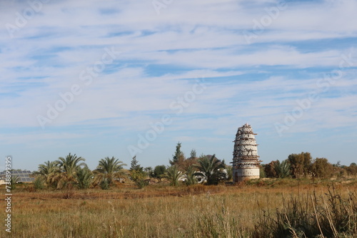 Pigeon towers in the middle of agricultural land in Baharyia oasis in Egypt photo