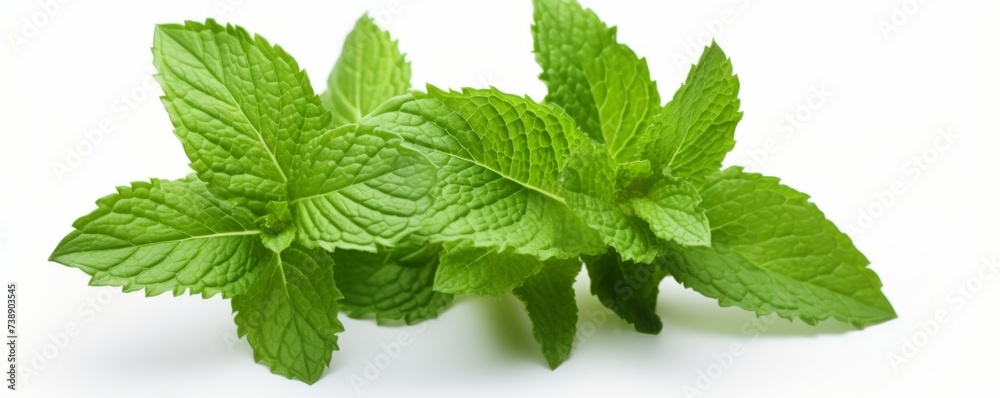 Fresh mint on a white background. Generative AI. Fresh mint on a white background. Generative AI.