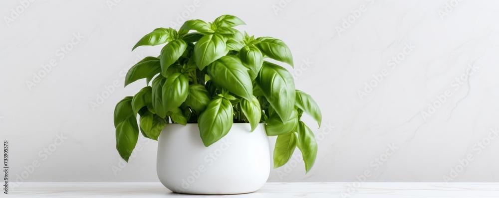 Fresh basil in a flowerpot on a light background. Generative AI. - obrazy, fototapety, plakaty 