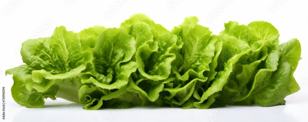 Fresh lettuce on a white background. Generative AI. Fresh lettuce on a white background. Generative AI.