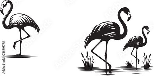 flamingo silhouette vector illustration photo