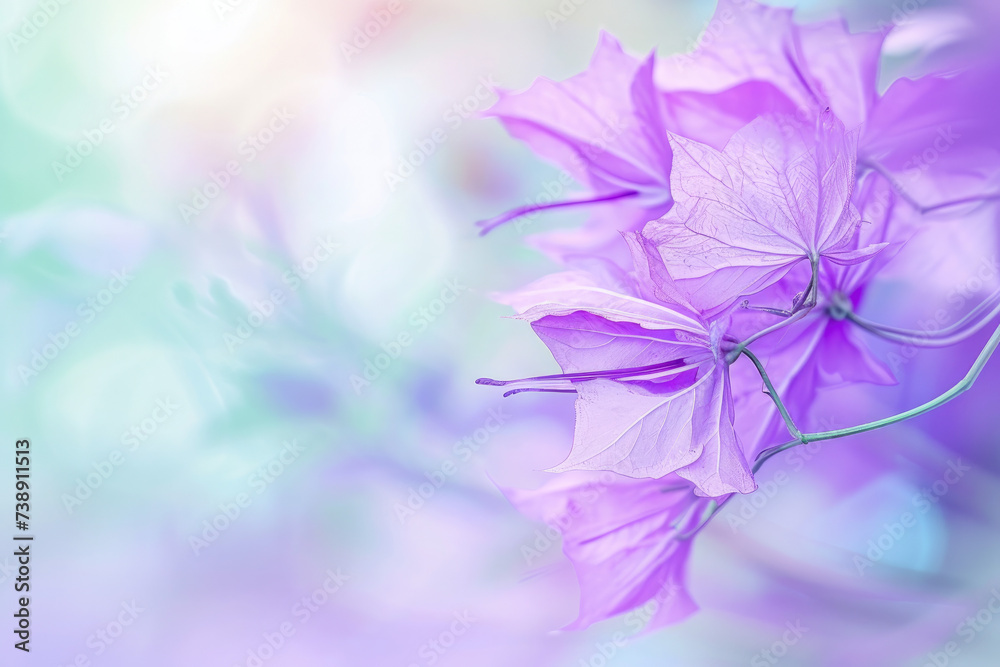 Pastel Bloom: Violet Softness with Empty Space
