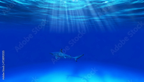 A shark gliding through the vast  open ocean
