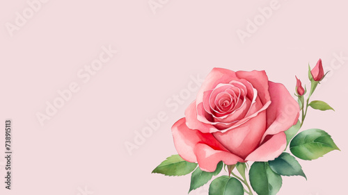 Delicate roses on a green background  copy space. Watercolor illustration of a rose  close-up. Postcard or banner  for your design. Banner with place for text  spring concept