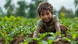 Picture of a young boy working in a field instead of attending school, depicting the economic pressures that force children into labor and deprive them of education, Many individua