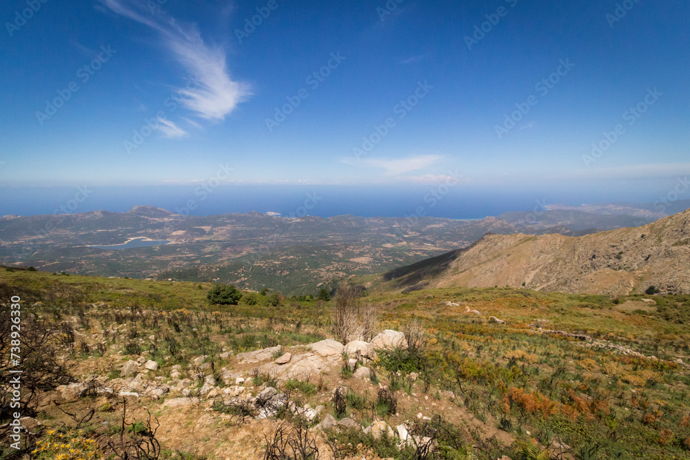 Fototapeta premium Corse