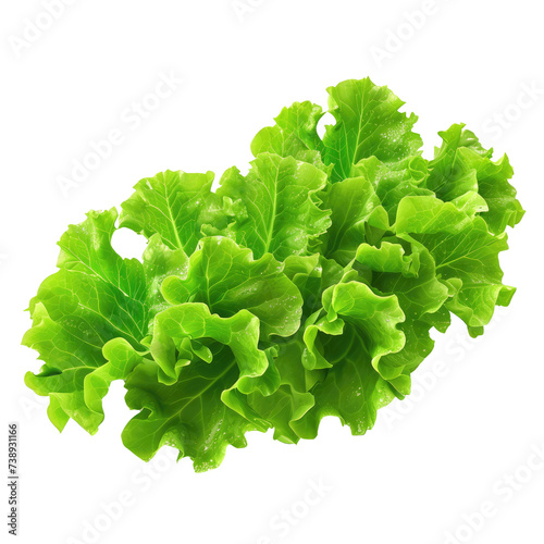 green butter lettuce vegetable or salad isolated on white background. Generative AI photo