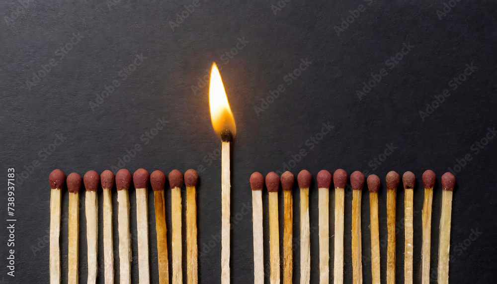 Lit match next to a row of unlit matches on dark background . The Passion of One Ignites New Ideas, Change in Others. Lit match next to a row of unlit matches on dark background . The Passion of One Ignites New Ideas, Change in Others.