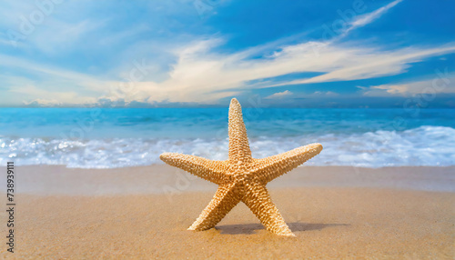Starfish on the beach with sea and sky background. Summer vacation concept. copy space for your text or logo