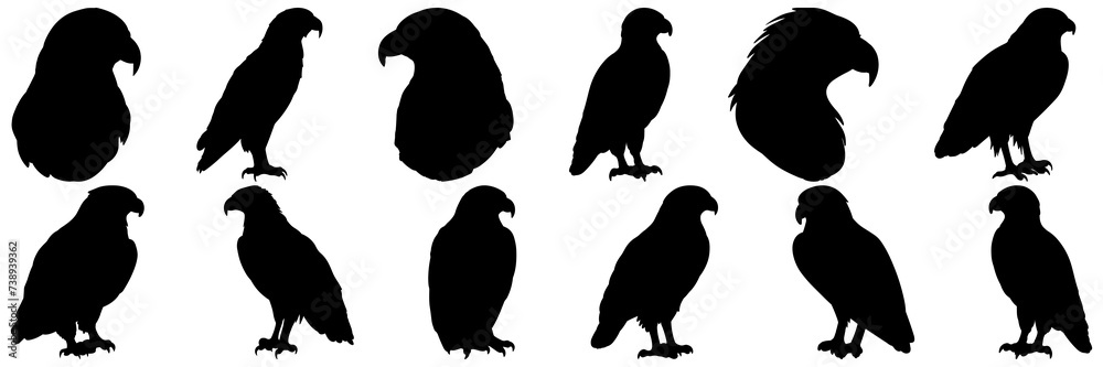 Eagle silhouettes set, large pack of vector silhouette design, isolated white background Eagle silhouettes set, large pack of vector silhouette design, isolated white background