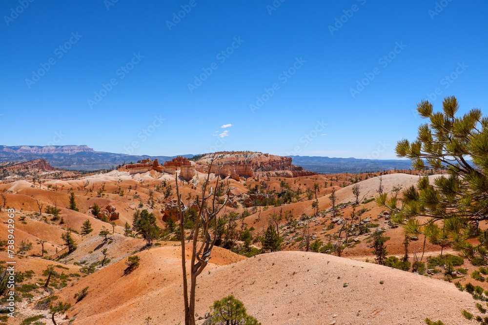 Views from Queens Garden Trail at Bryce Canyon National Park.