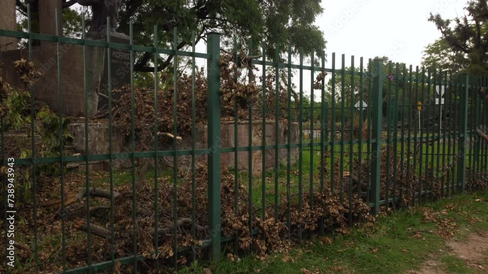 Slow panorama near the fence, the park behind the fence is full of dry trees Slow panorama near the fence, the park behind the fence is full of dry trees