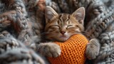 Mały kociak śpi z sercem zrobionym ręcznie na wełnianym kocyku