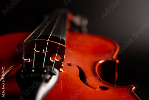 Violin, wonderful details of a beautiful violin, dark background, selective focus.