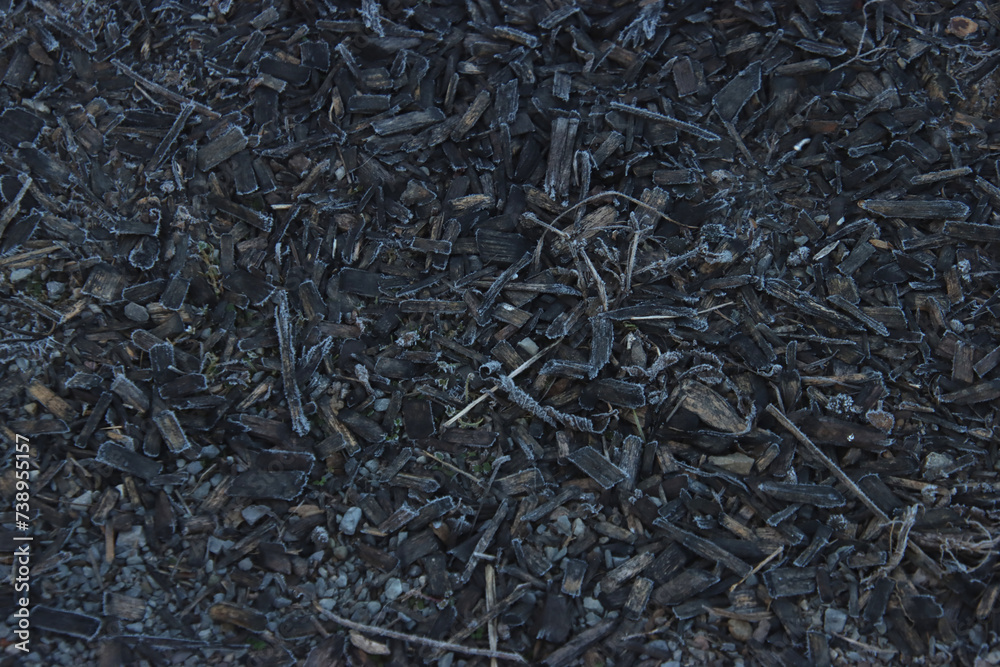 Frost on the Mulch Frost on the Mulch