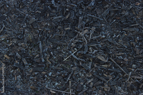 Frost on the Mulch