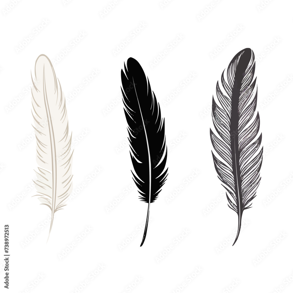 Feather | Minimalist and Simple set of 3 Line White background - Vector illustration Feather | Minimalist and Simple set of 3 Line White background - Vector illustration