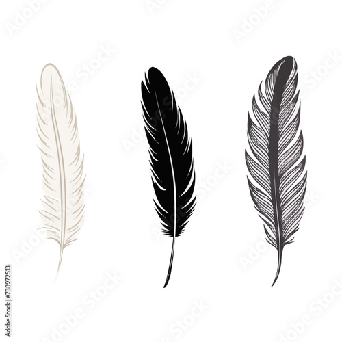 Feather | Minimalist and Simple set of 3 Line White background - Vector illustration