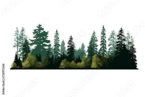 Green Forest landscape silhouettes panorama with pines, fir trees, cedars. Editable vector illustration with isolated stand alone trees for your own design
