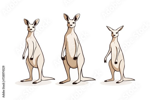 Kangaroo | Minimalist and Simple set of 3 flat White background - Vector illustration