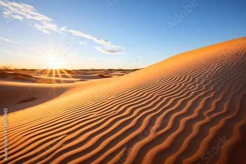 Golden Sands and Long Shadows - The Majestic Solitude of the Desert Landscape
