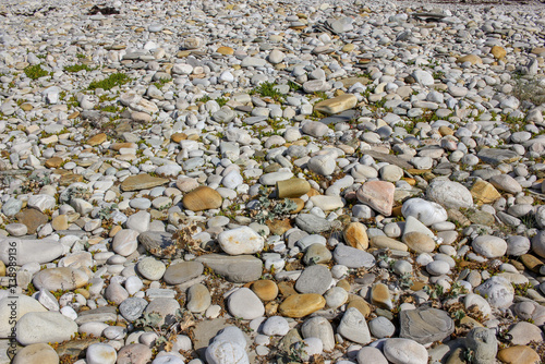 a lot of round stones in a beach