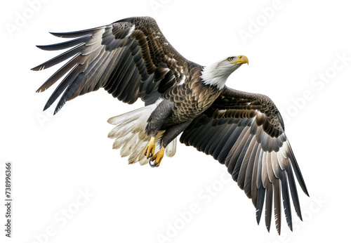 A stunning bald eagle, showcasing its powerful wings and intense gaze, soars gracefully against a clear white backdrop.