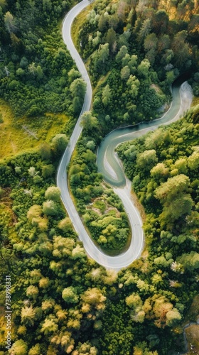 Aerial view of winding river. Vertical background 