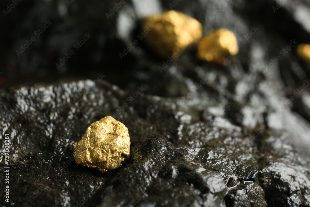 Shiny gold nugget on wet stone, closeup. Space for text Shiny gold nugget on wet stone, closeup. Space for text