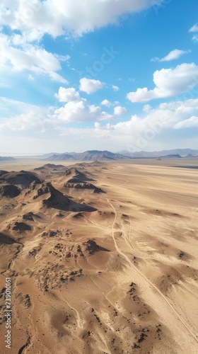 Desert background . Vertical background 