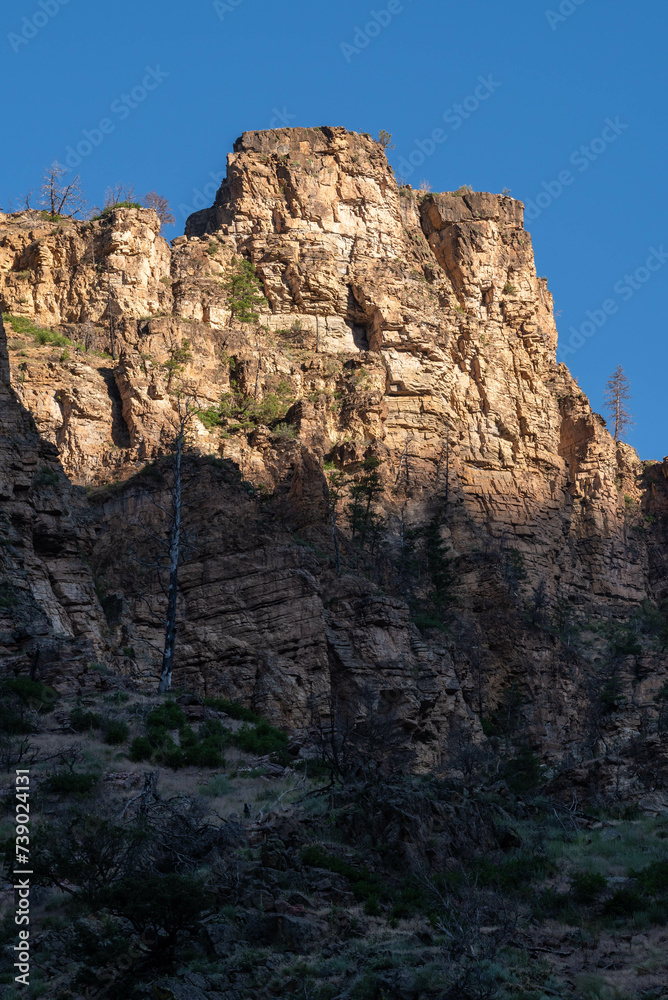 In a summer morning, cliffs viewed from the grizzly creek trail in the Glenwood Canyon, White River National Forest (Glenwood Springs, Colorado, United-States)