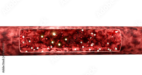 3d render of blood vessel with flowing red blood and white blood cells on a white background