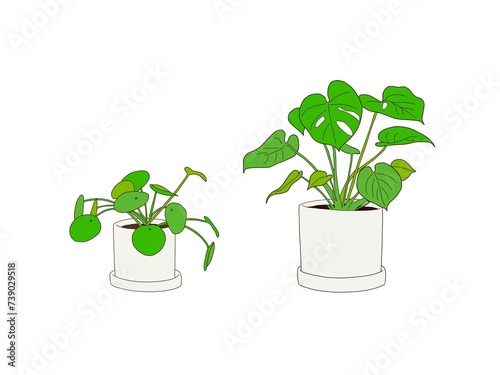 Wallpaper Mural Plants Torontodigital.ca