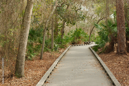 Boca Ciega Millennium Park flat wood boardwalk in Seminole, Florida. Trees on sides and green tress and bushes on sides. Leading lines into the woods. No people horizontal view. Late afternoon.
 photo