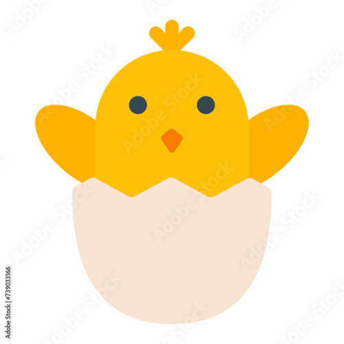 chick icon  © mnauliady