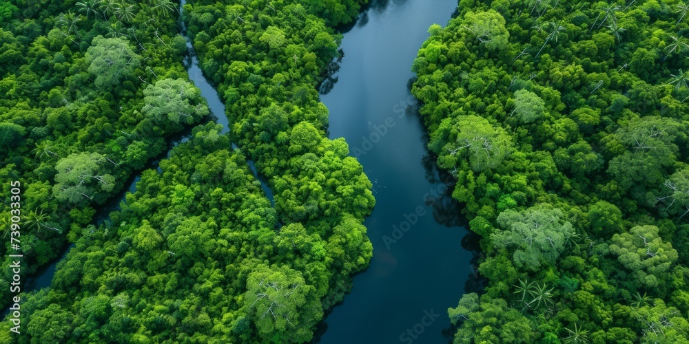 The resilience of nature in the face of environmental challenges. The regenerative power of ecosystems, emphasizing the importance of protecting and restoring our planet for generations to come The resilience of nature in the face of environmental challenges. The regenerative power of ecosystems, emphasizing the importance of protecting and restoring our planet for generations to come