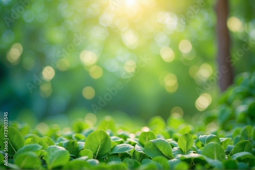 green blurred bokeh lights background with leaves, copy space for text, natural background.