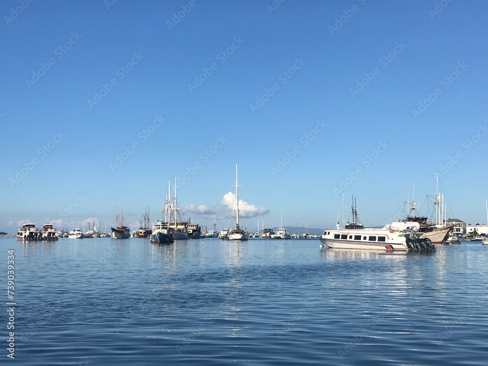 boats in the harbor