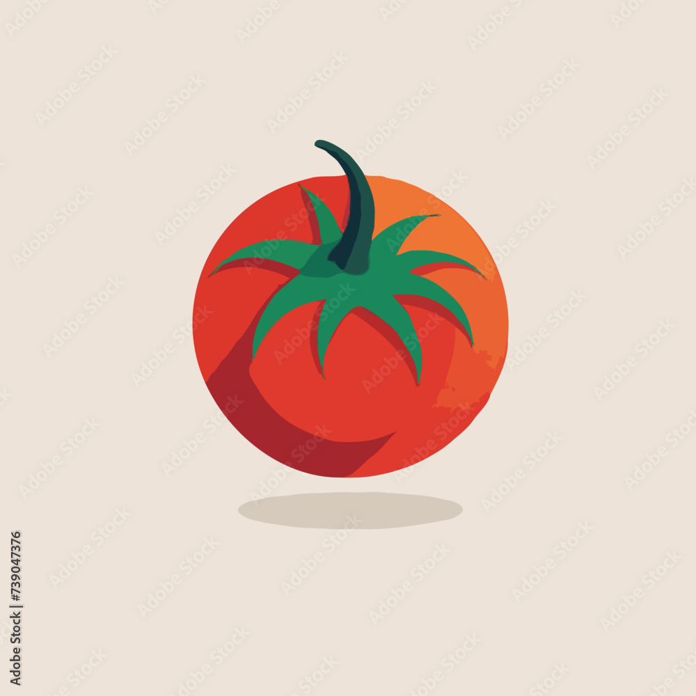 illustration of an tomato illustration of an tomato